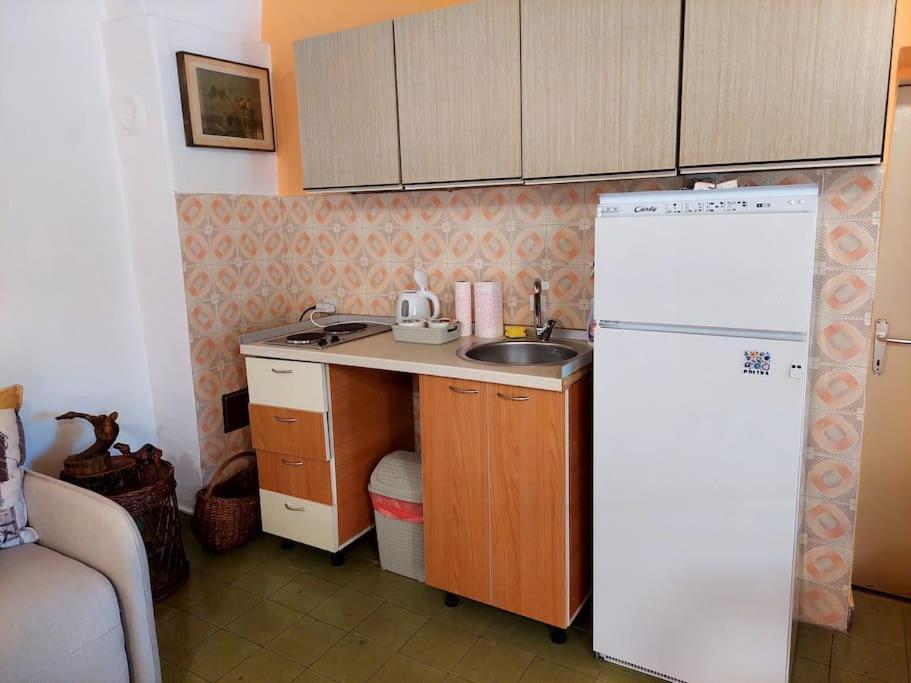 Boljevic * Podgorica