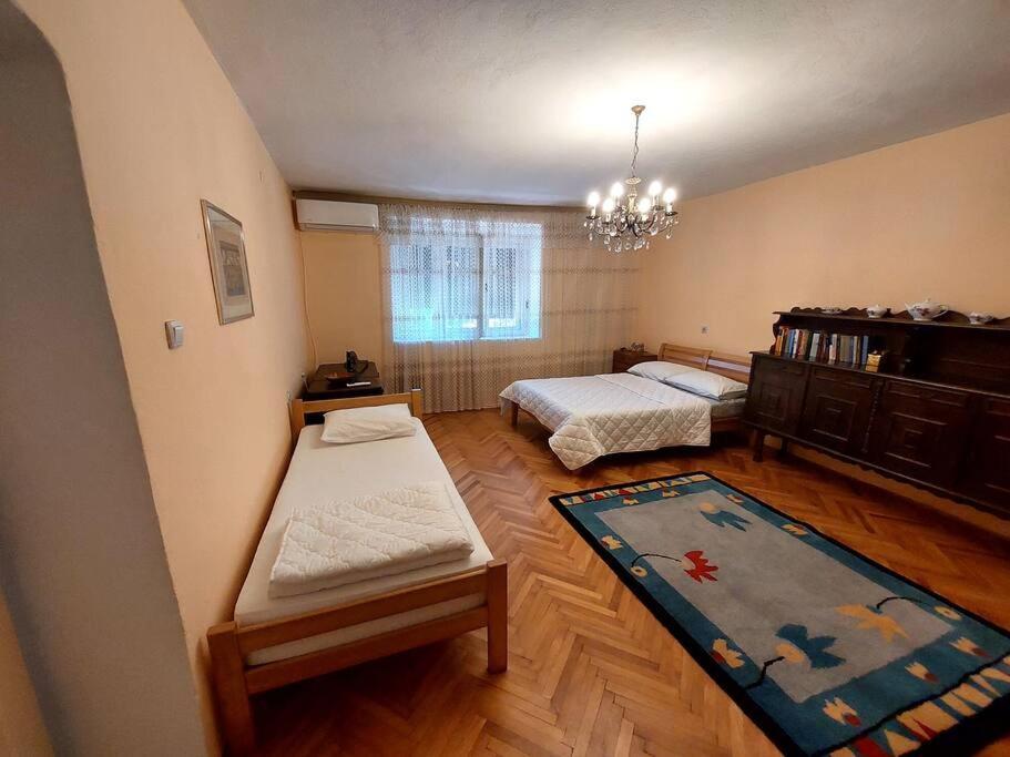 Appartamento Boljevic *